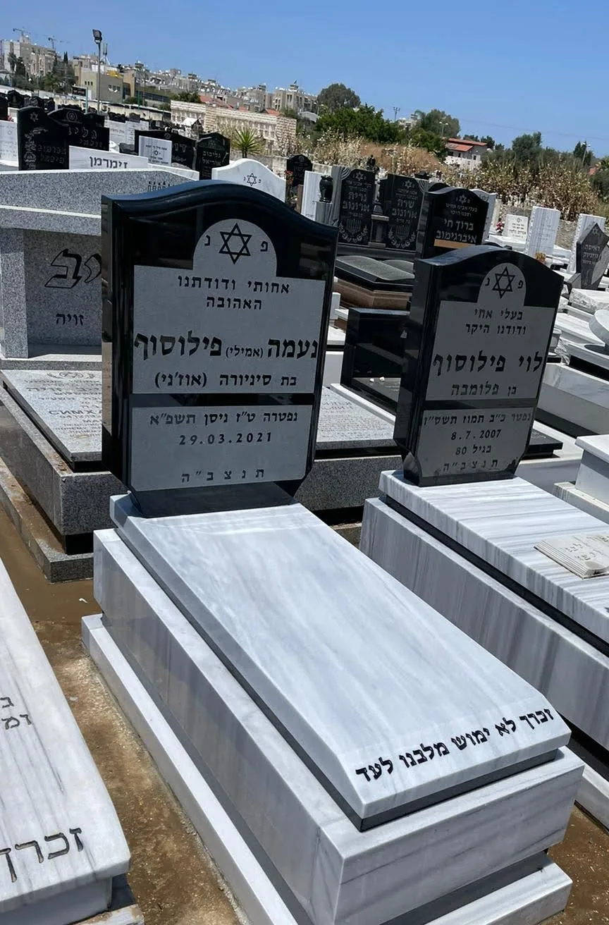 דוגמה למצבה איכותית #43