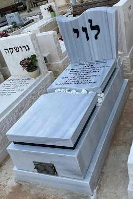 דוגמה למצבה איכותית #16