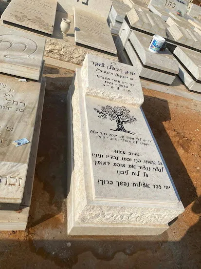 דוגמה למצבה איכותית #9