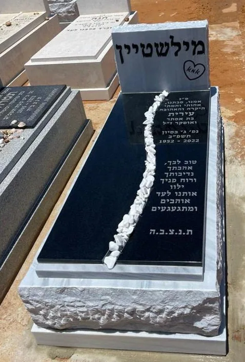 דוגמה למצבה איכותית #86