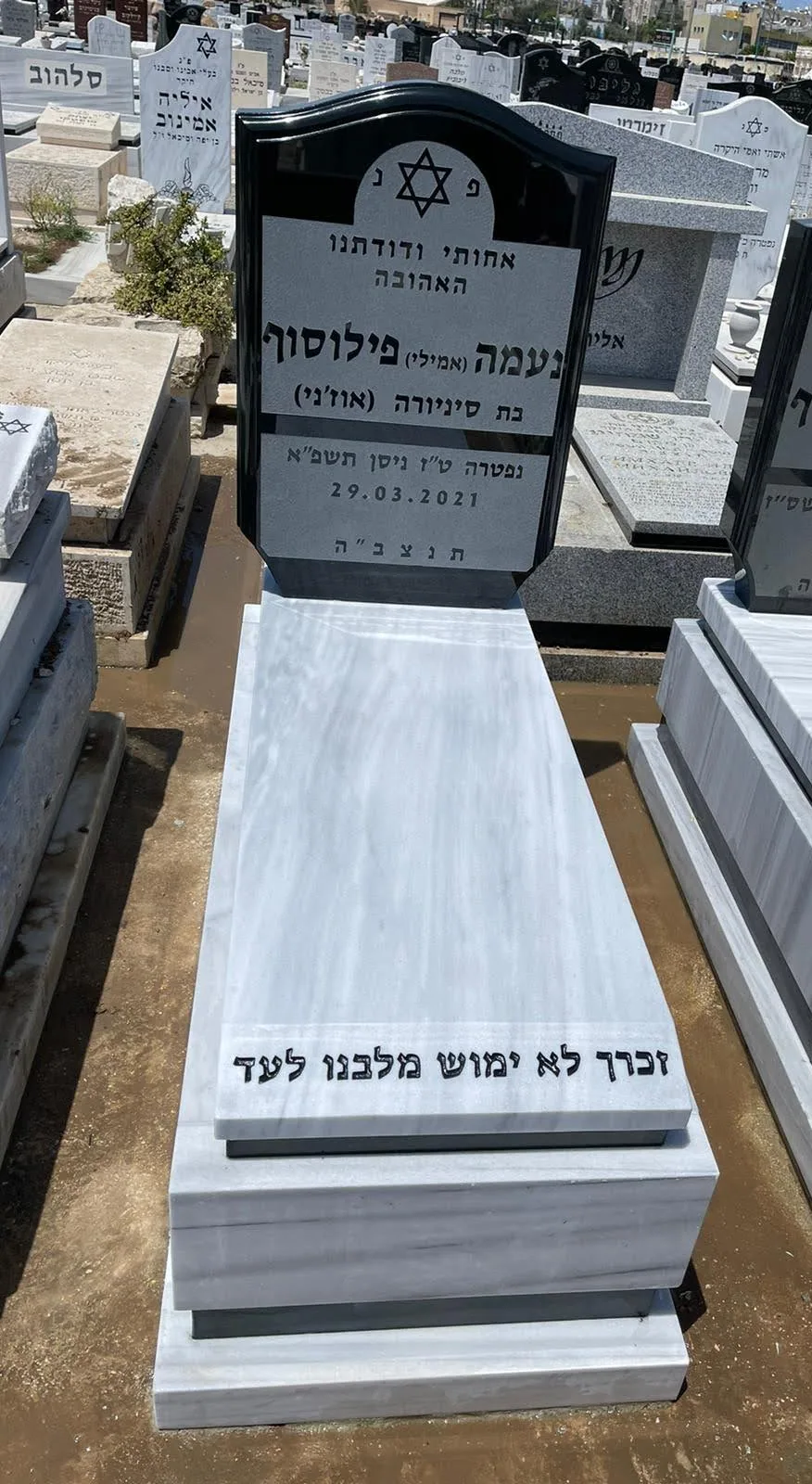 דוגמה למצבה איכותית #42