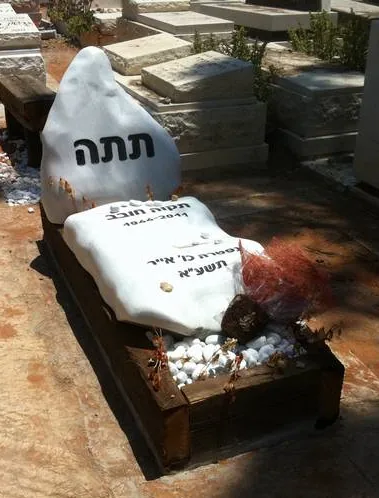 דוגמה למצבה איכותית #45