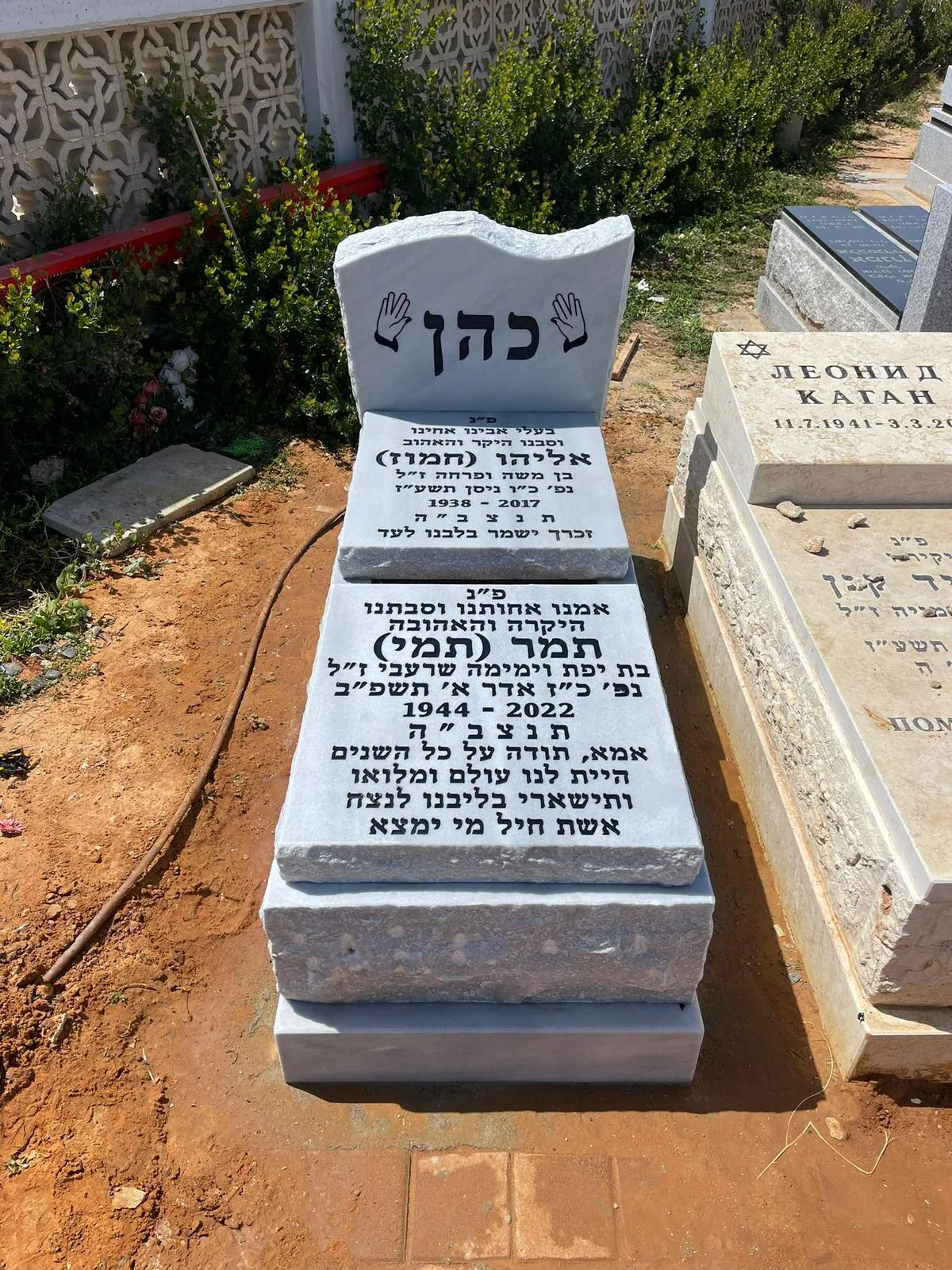 דוגמה למצבה איכותית #19