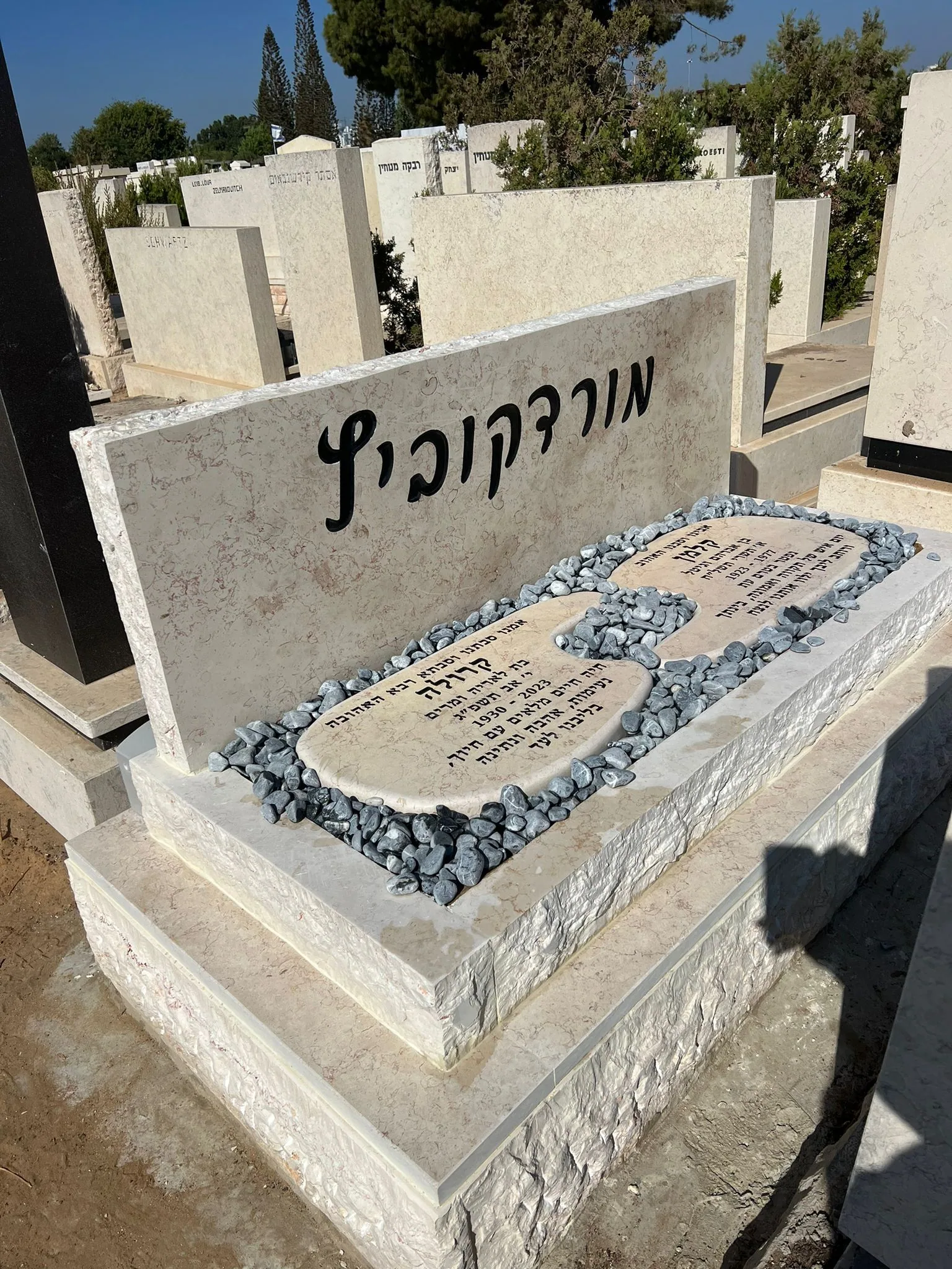 דוגמה למצבה איכותית #15