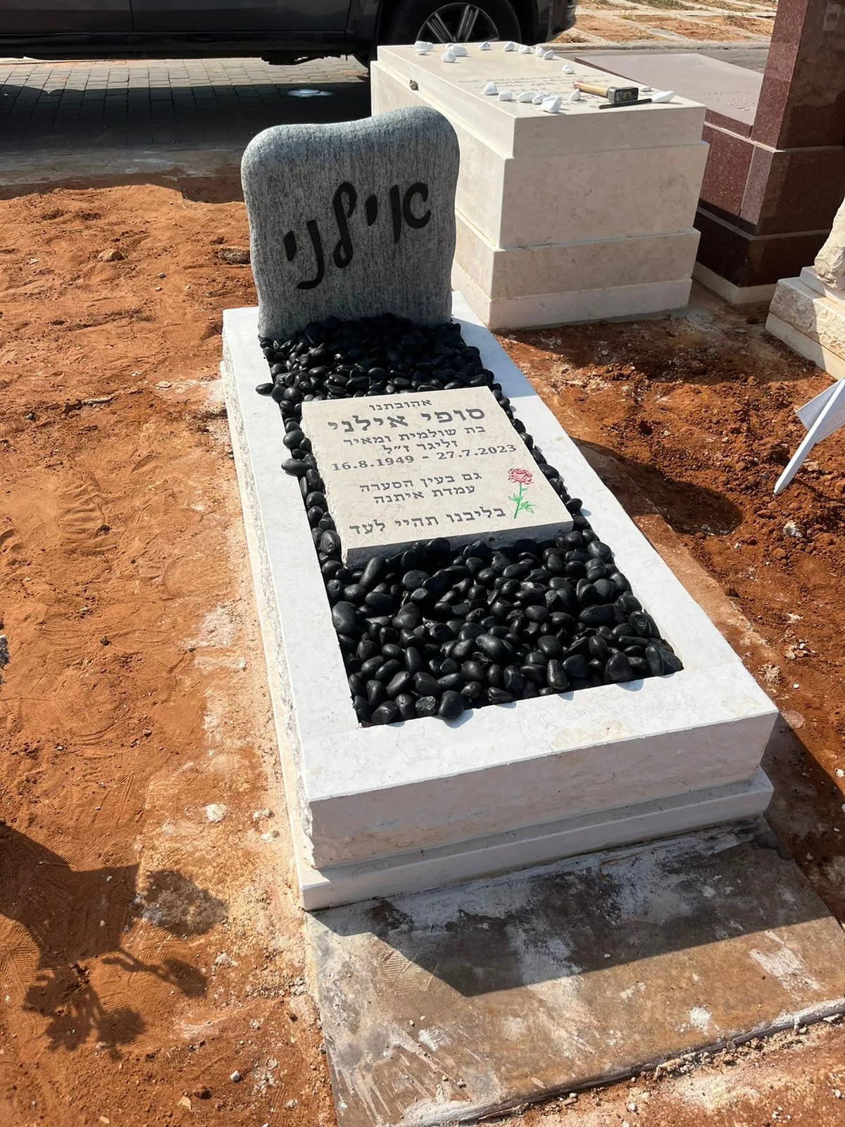 דוגמה למצבה איכותית #13