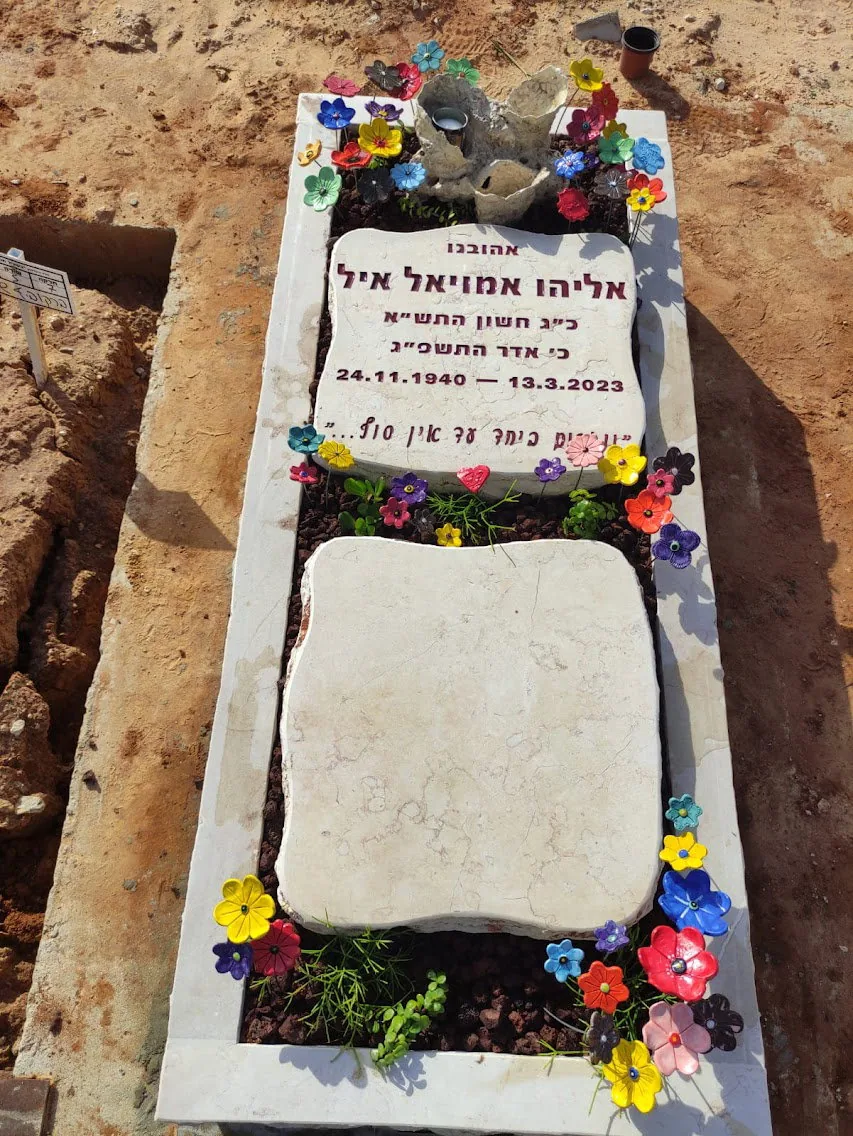 דוגמה למצבה איכותית #3