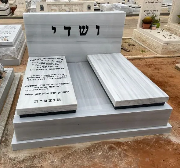 דוגמה למצבה איכותית #91