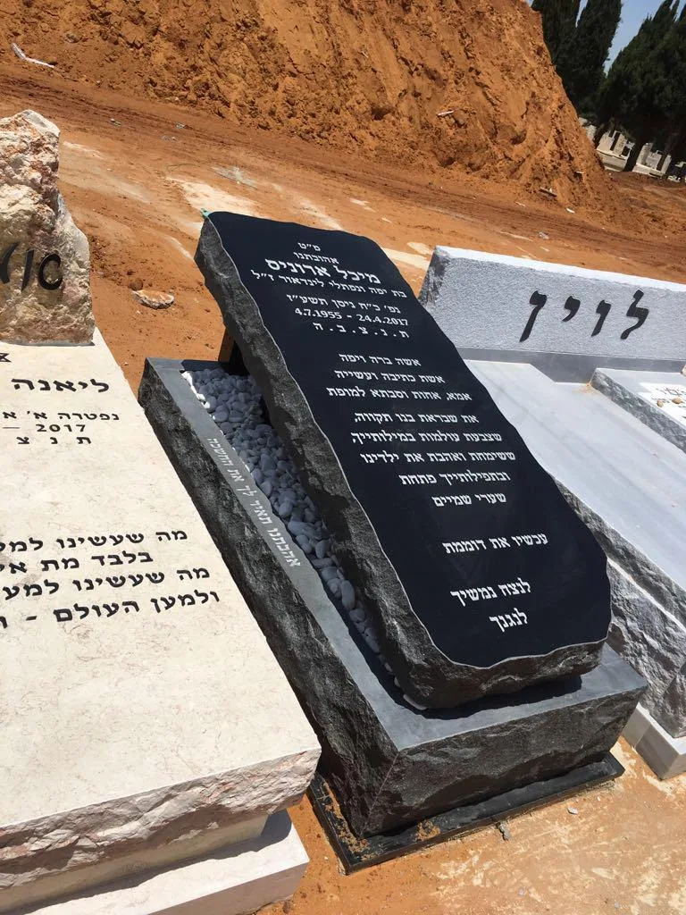 דוגמה למצבה איכותית #49