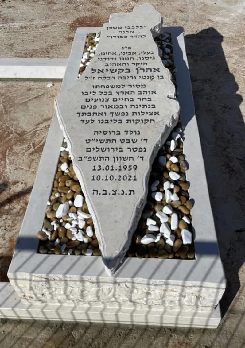 דוגמה למצבה איכותית #22