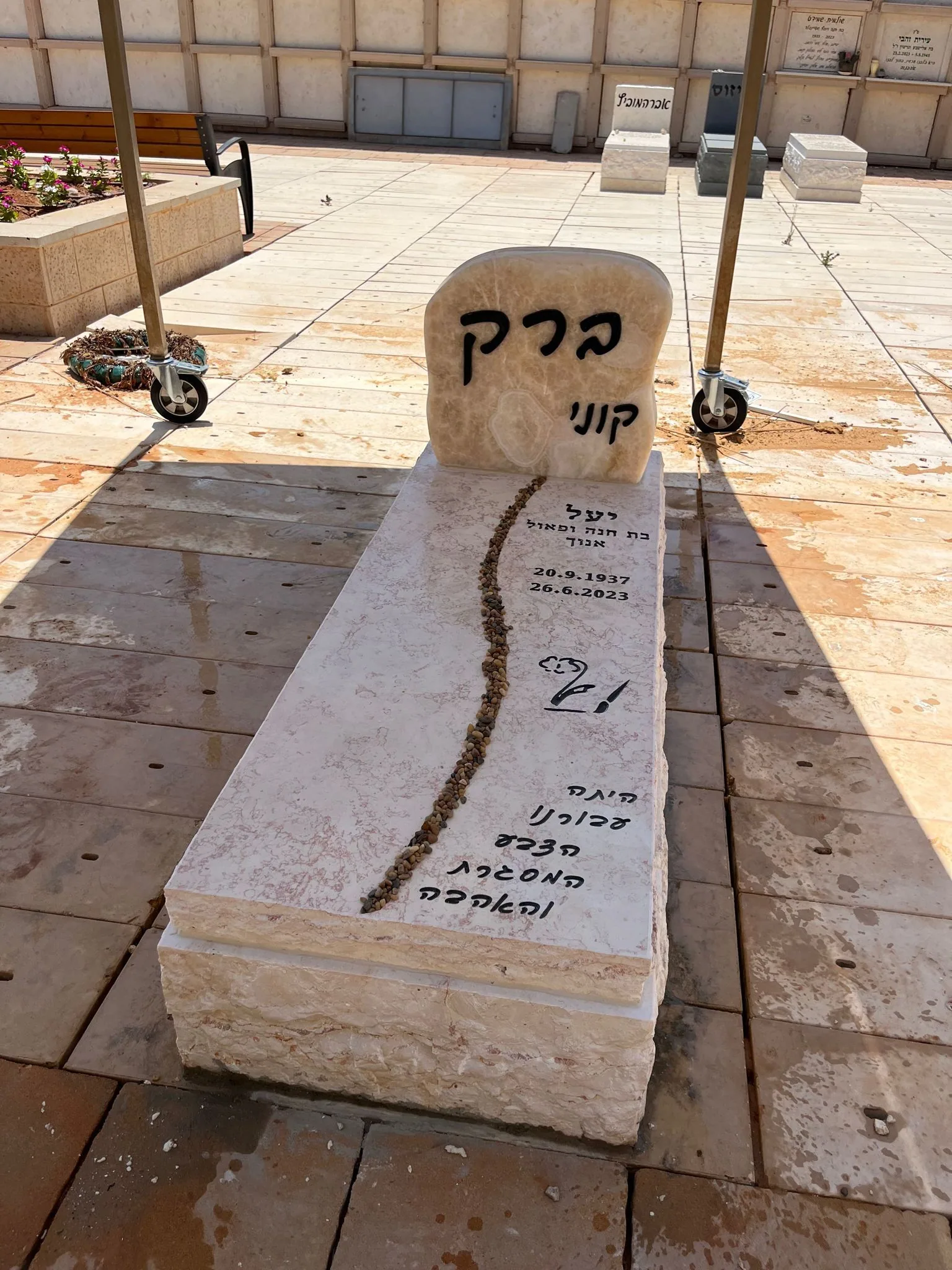 דוגמה למצבה איכותית #12